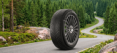 suosituimmat kesarenkaat